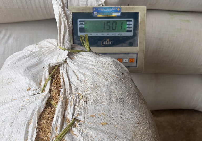 raw rice husk packaging requirement for buyers