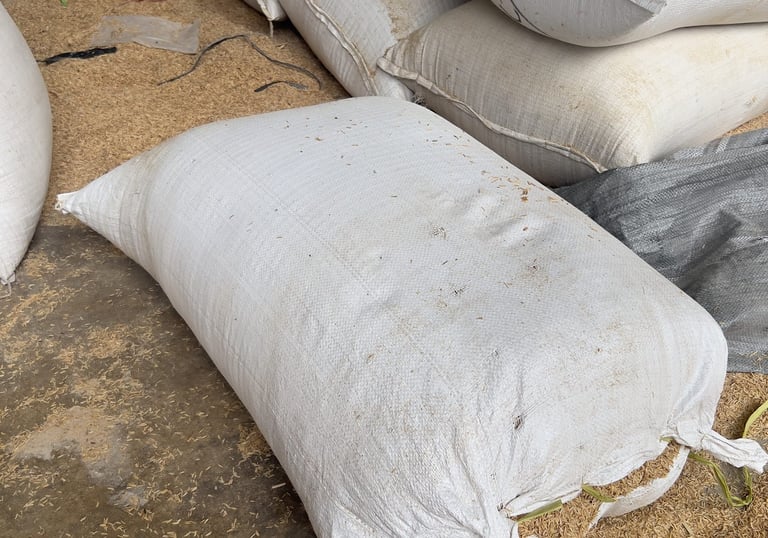 raw rice husk for buyer intended use