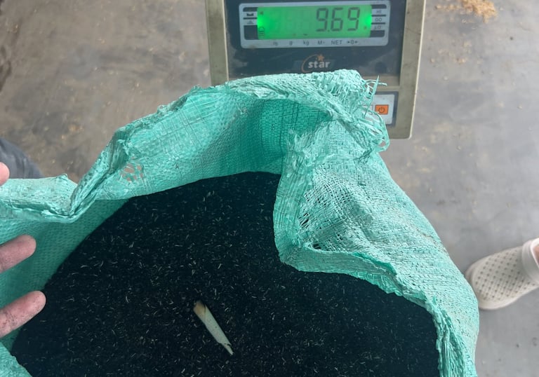 rice husk ash suits the buyer specific qualification