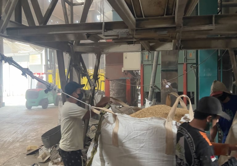 raw rice husk that will suit on buyer requirements