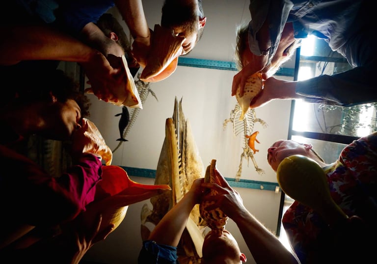 mensen die in schelpen blazen