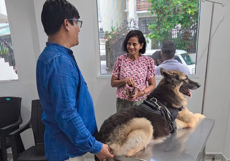 Veterinary consultation and treatment for a dog at Pet Pulse Animal Hospital in Battaramulla