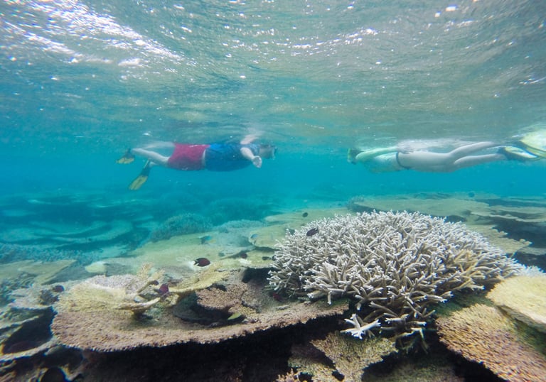 Two people snorkeling over a vibrant coral reef with tropical fish in clear blue ocean water.