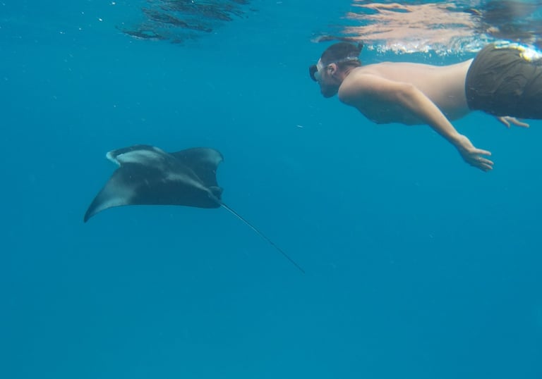 A man snorkeling underwater in clear blue ocean water alongside a large manta ray.
