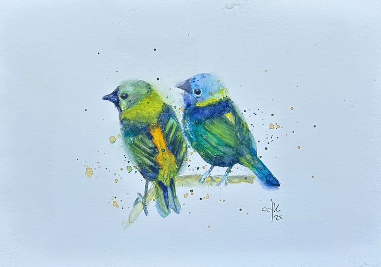 Watercolor painting by Chris Dias Koot. Bird Collection