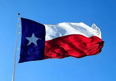 Texas Flag