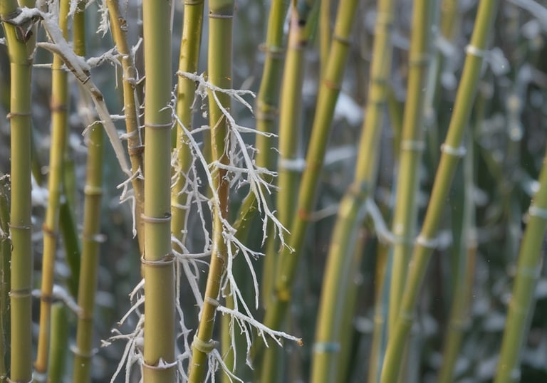A collection of eco-friendly pastel green plant boxes ready to be shipped.