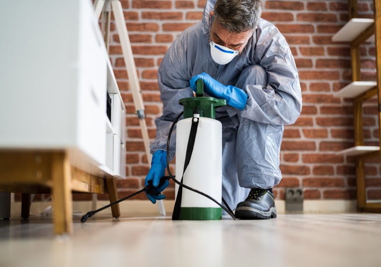 bed bug control treatment service