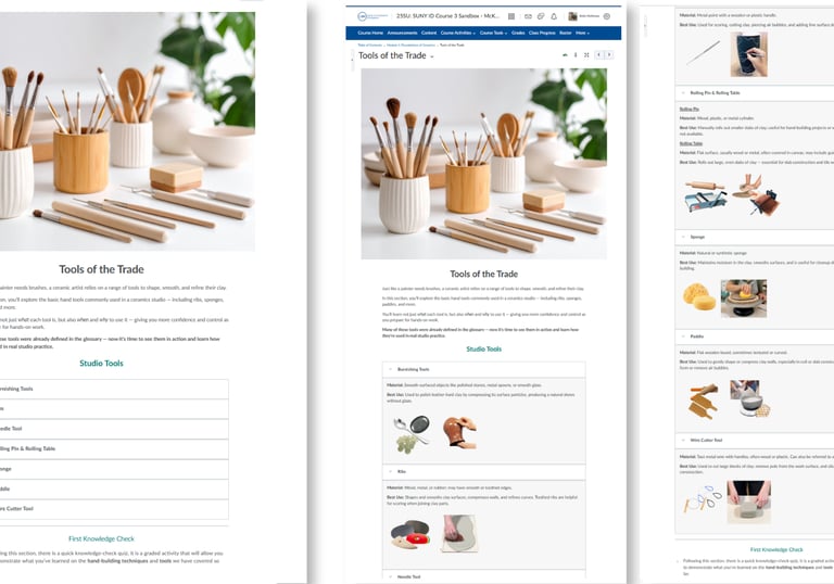 Brightspace lesson with instructional text, images, video, and interactive ceramics activities.