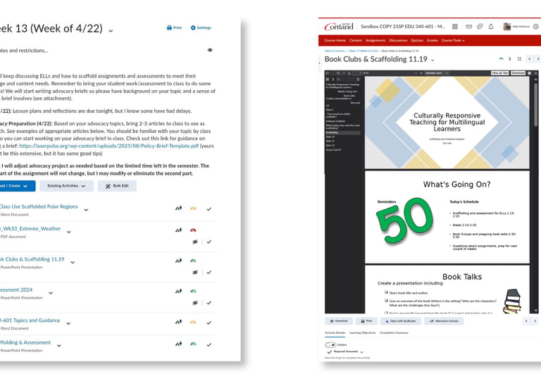 Brightspace module featuring scaffolding resources, learner support, and assessments.