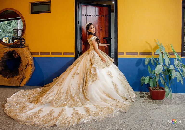 Mis Quince Servicio Princess