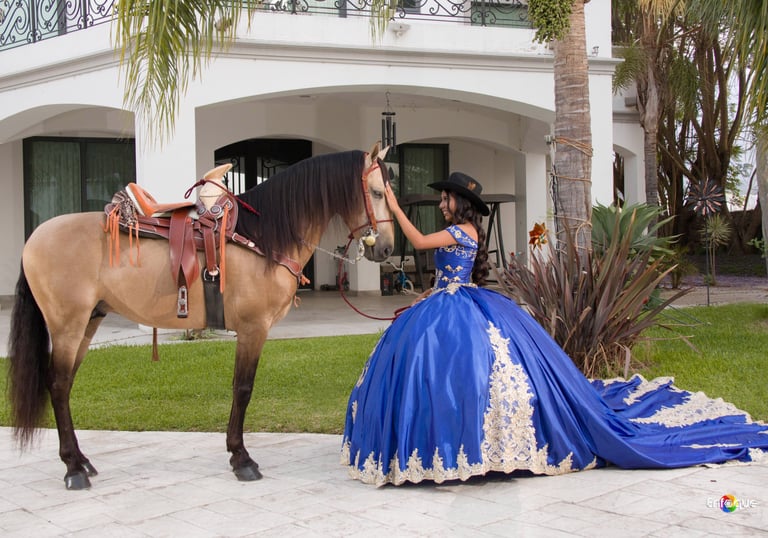 Mis Quince Servicio Princess