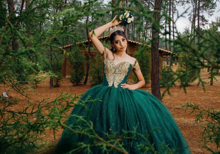 Mis Quince Servicio Princess