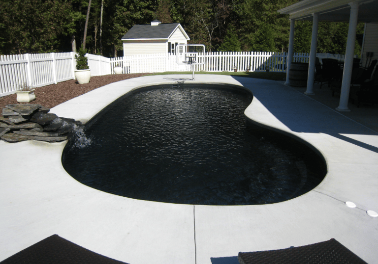 Freeform pool with deep black water and dark interior finish, paired with light concrete coping.