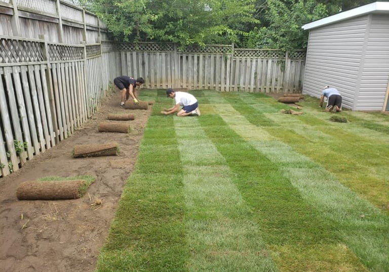 Landscaping and Planting by TN Professional Services