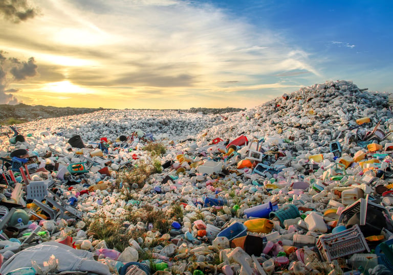 Sustainability with no plastic or AI use
