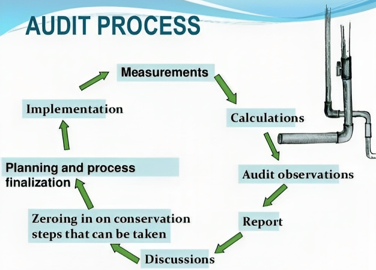 Audit Process