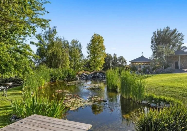 a pond with a wooden deck 