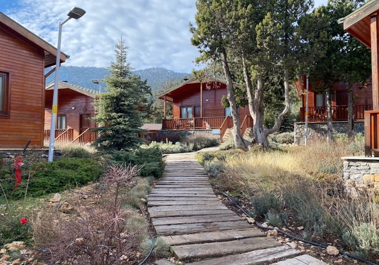 Bağbaşı Yaylası Bungalov Evleri