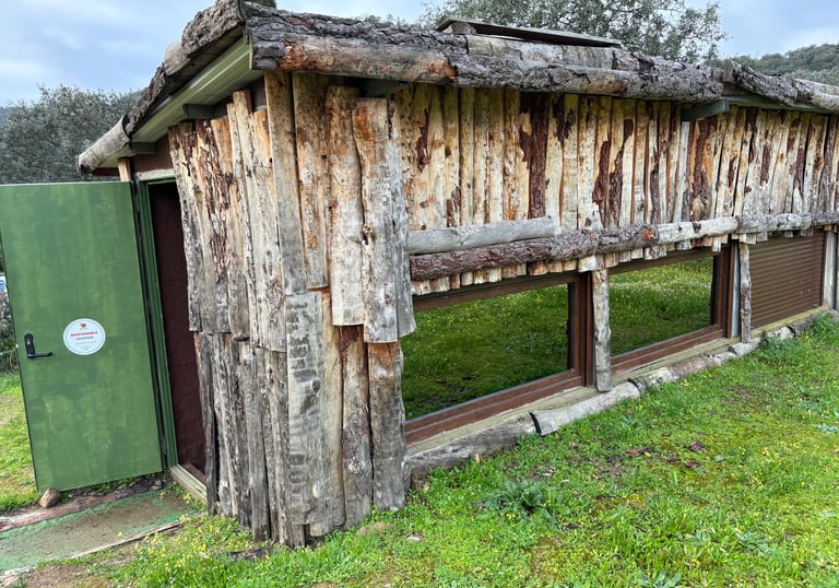 Birdwatching Hide