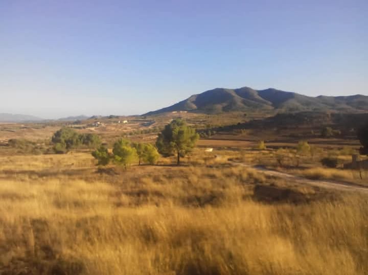 countryside spain