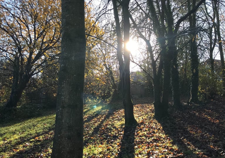 Tom's Hut winter morning view