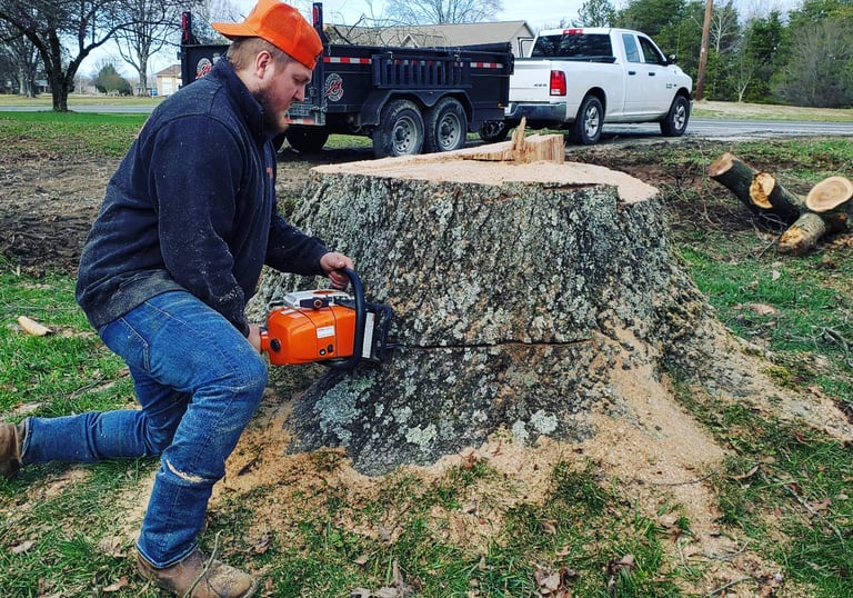 man cutting a very large stump with a chainsaw