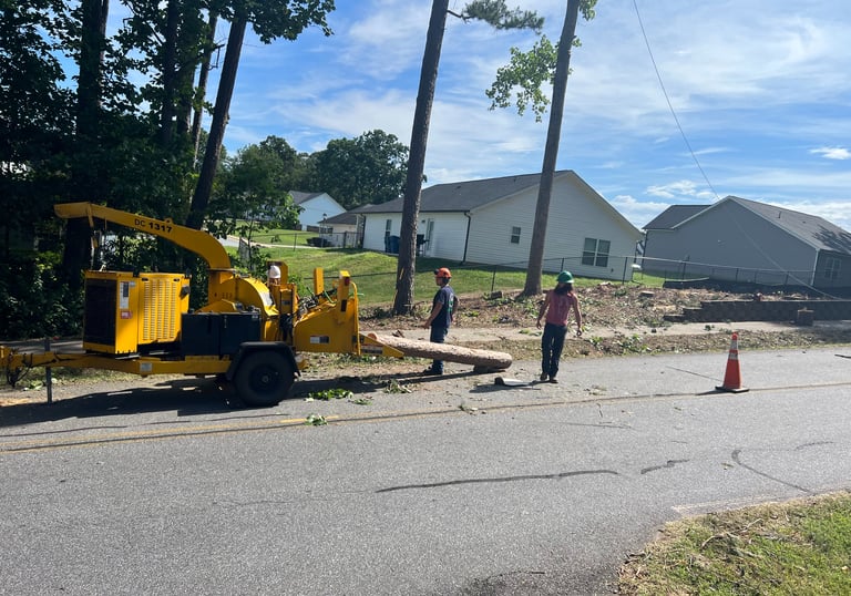 men putting logs into a wood chipper