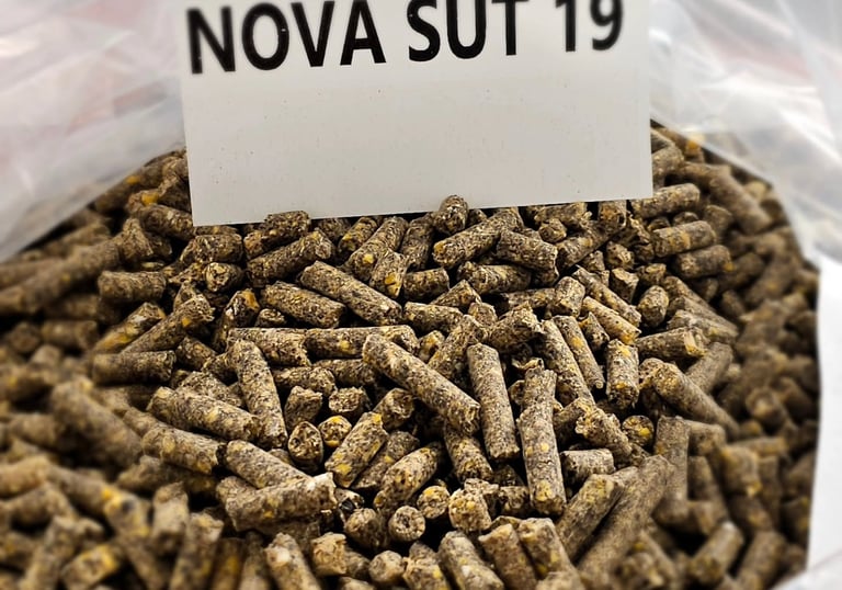 Novayem süt yemi 
