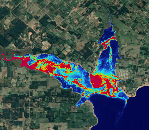 Chlorophyll concentrtion map