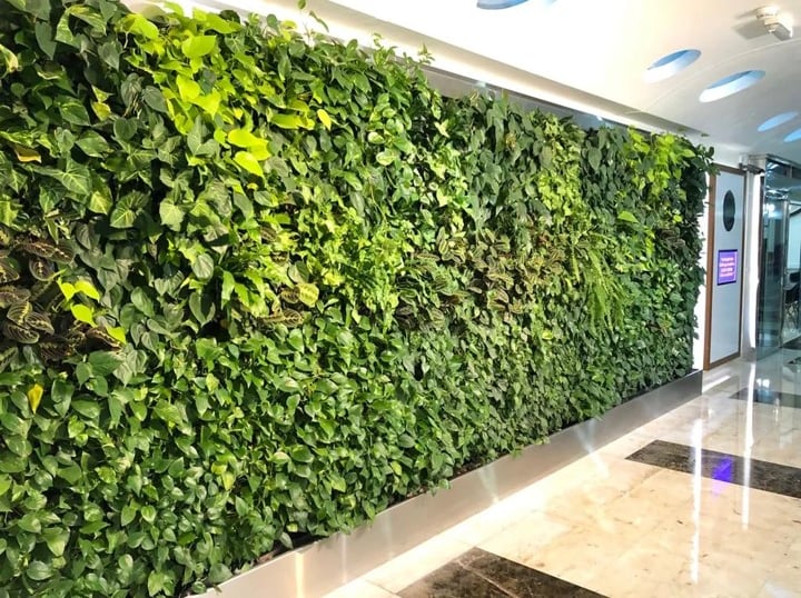 Eco-friendly vertical garden wall adding greenery and style to modern interiors.