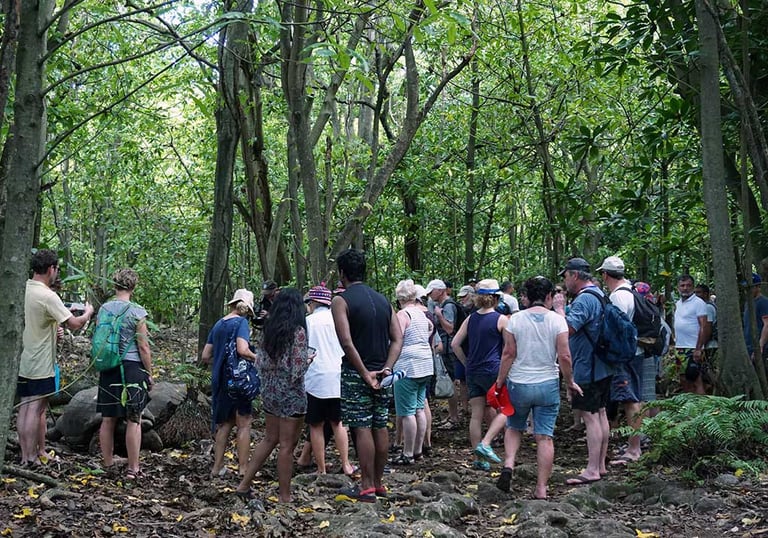 Tour of Cousin Island to see Giant Tortoises
