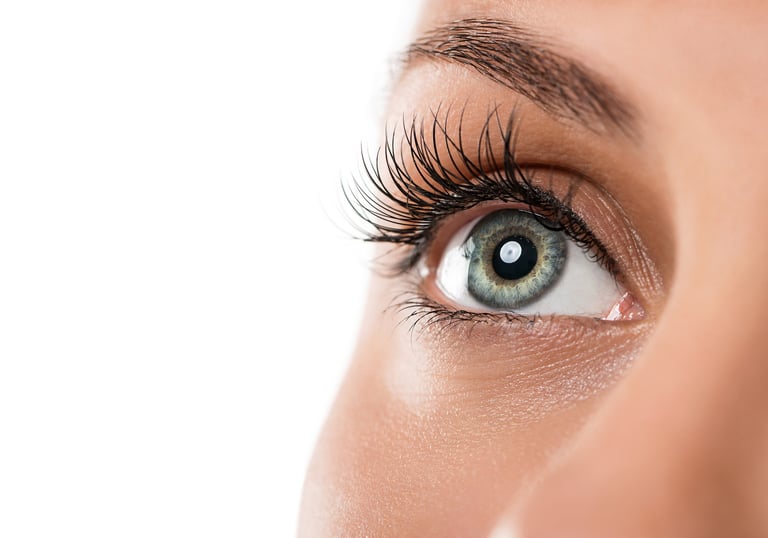 Image of Eyebrow and Eyelashes