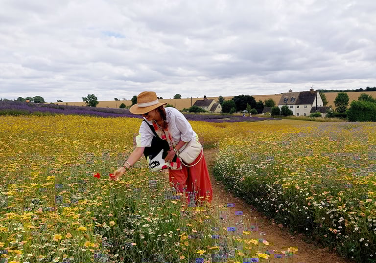 Snowshill Cotswolds lavender farm lady in a feild of lavender 
