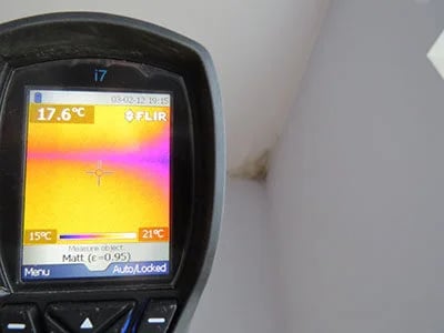 Tyrimas diagnostika dėl medžio grybo "Trobagrybio" priežastims nustayti