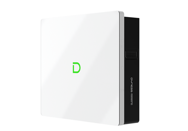 Dyness DL5.0 Pro Lithium Battery 5.12kW