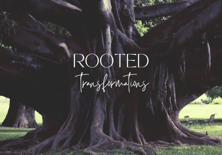 image of a large tree and the text 'rooted transformations'.