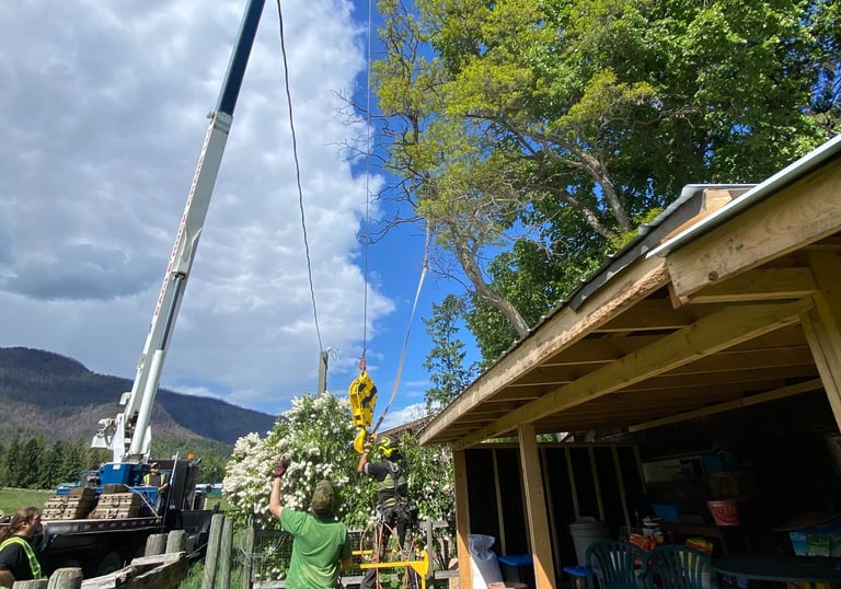 Revelstoke Tree Services