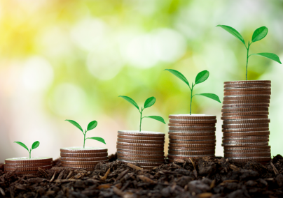 a stack of coins with a plant growing out of it