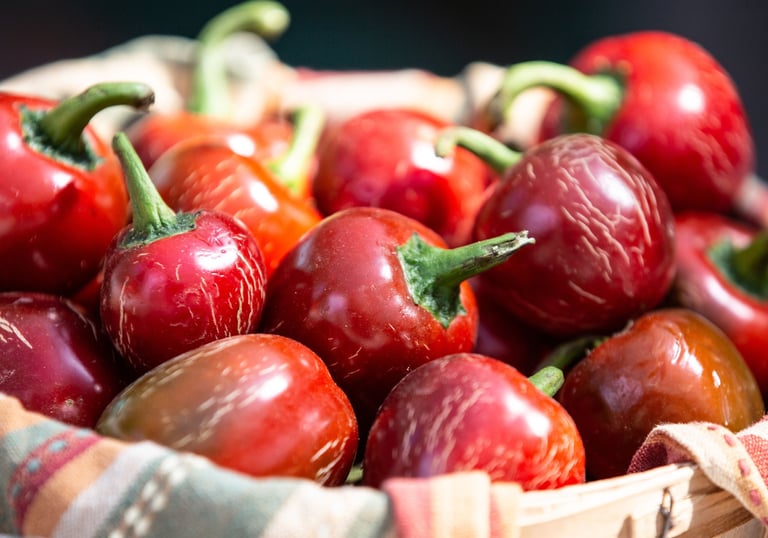 Cherry Pepper