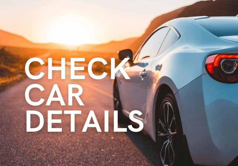 car registration checks