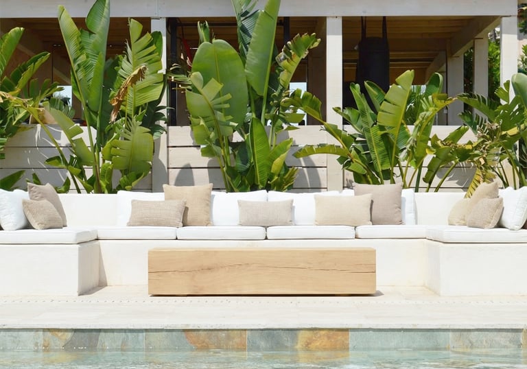 Modern white outdoor sectional sofa by a swimming pool with tropical banana plants. Landscape design