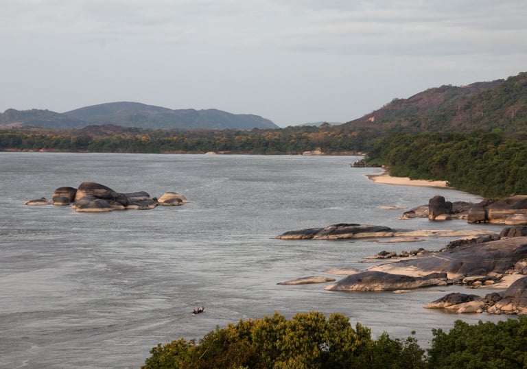 Vichada, Colombia. Terra Forest
