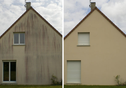 Nettoyage et démoussage de façade avant et après