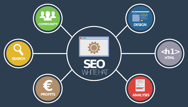 a diagram of a seo search engine