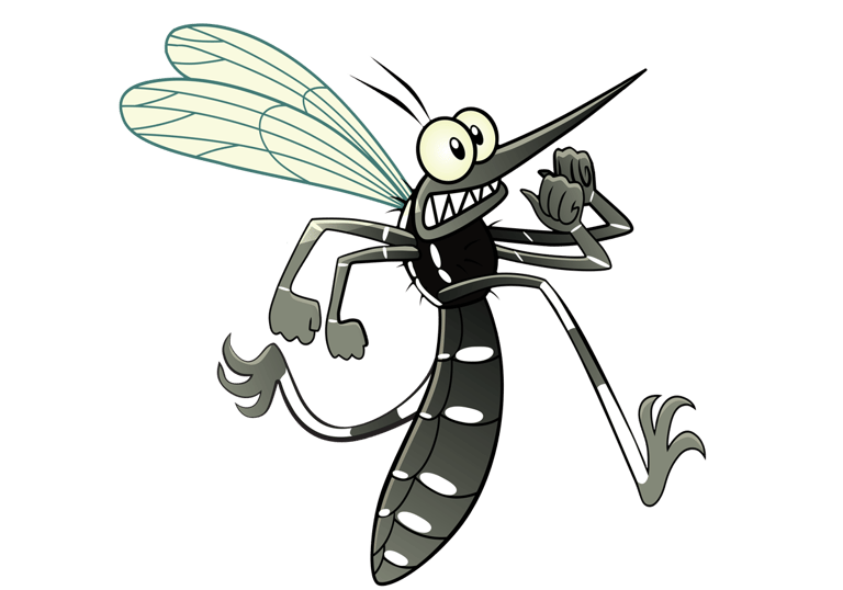 Professional Mosquito Control Services 06230