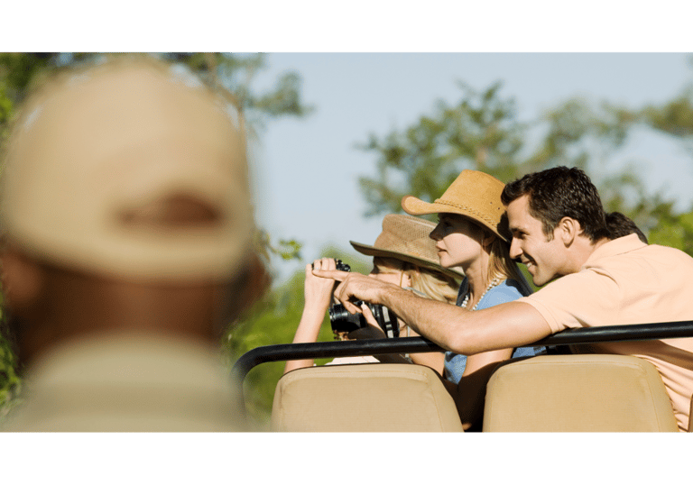 jeep safari in ranthambore national park