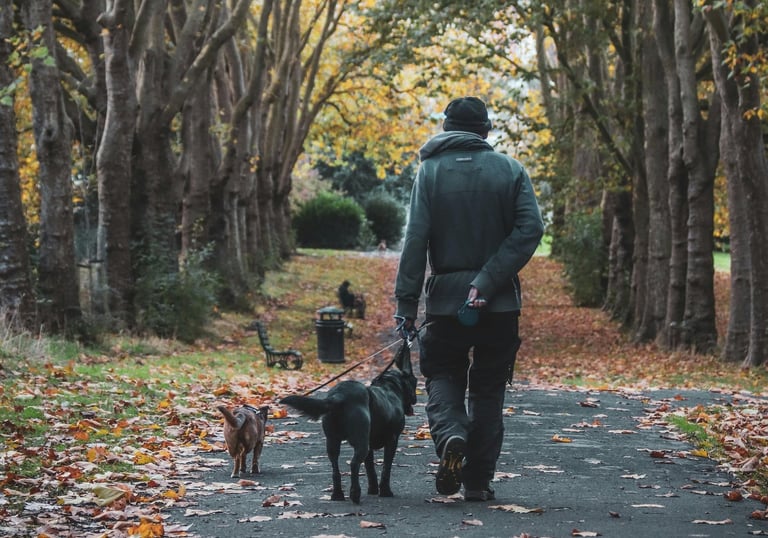 Man walking dog in neighborhood