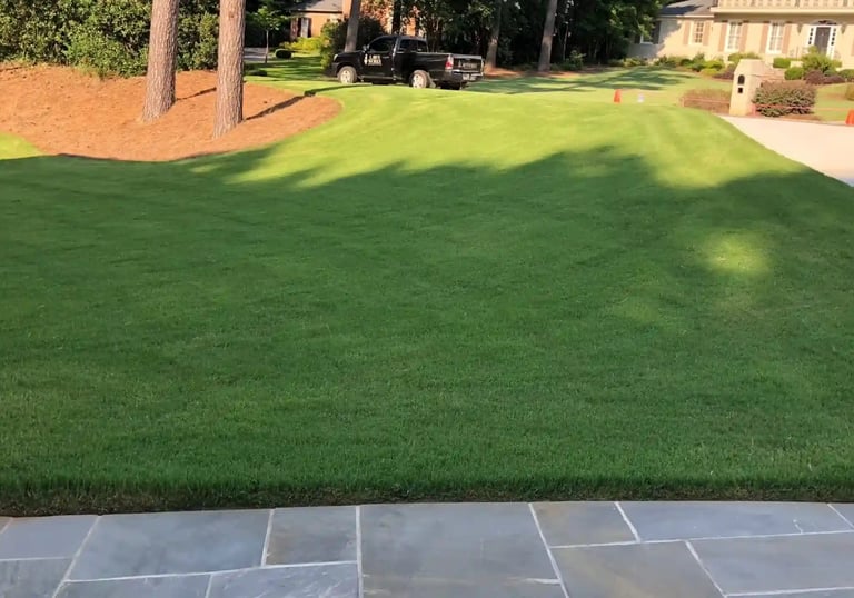 A well-maintained Bermuda Grass lawn 16 * 9
