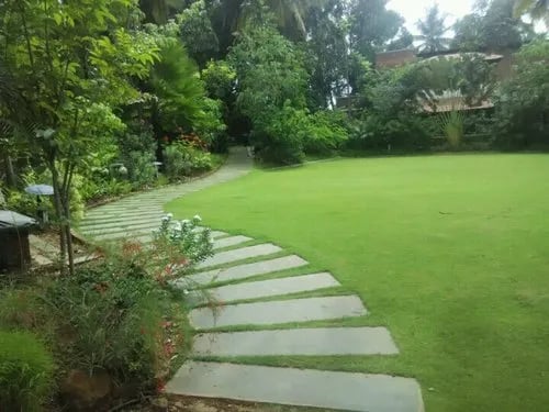 Commercial Mexican Lawn Grass installation in Koramangala, Bangalore
